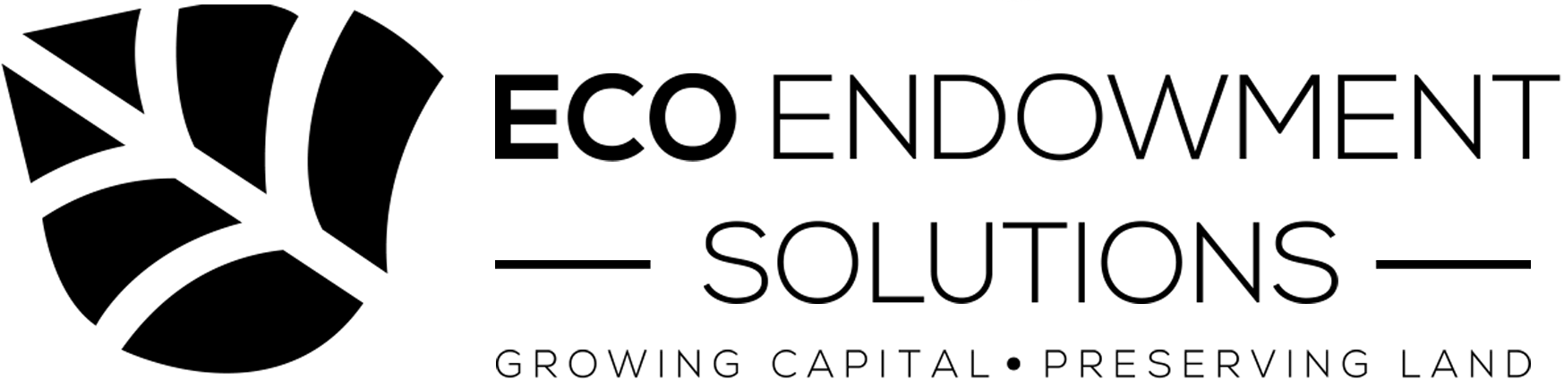 Eco Endowment Solutions Horizontal_black